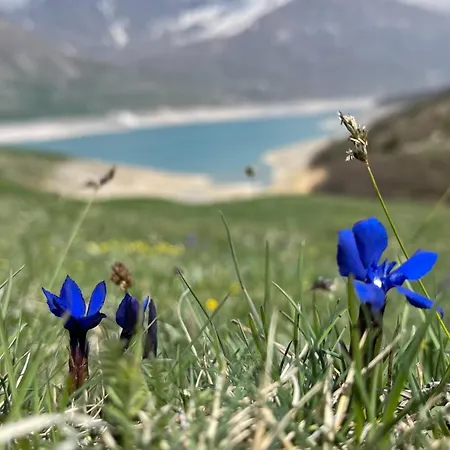 Aux Portes Du Parc National De La Vanoise Val Cenis Avec Wifi